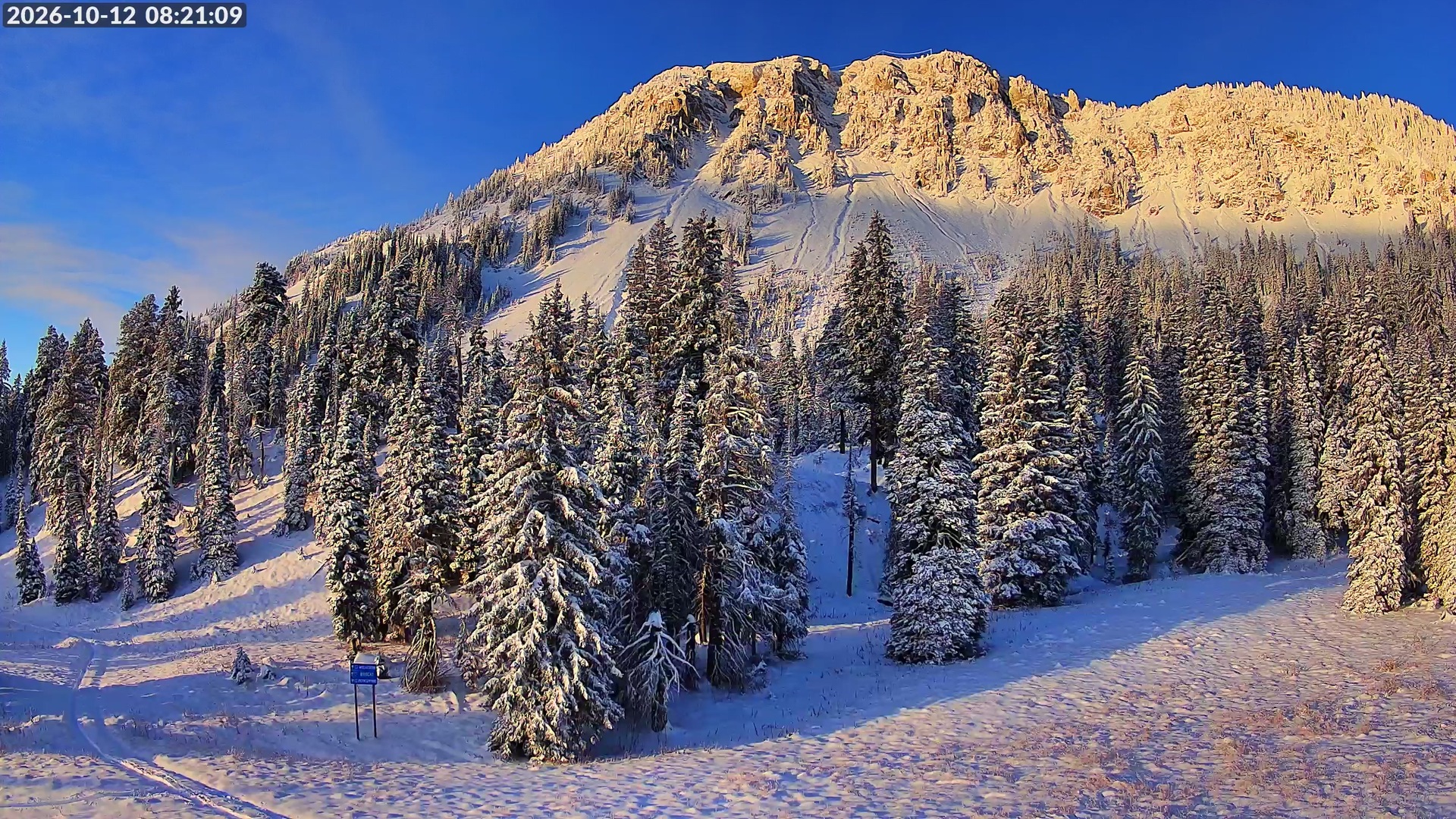 Bridger Bowl Apron Snow